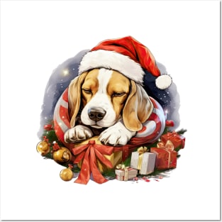 Lazy Beagle Dog at Christmas Posters and Art